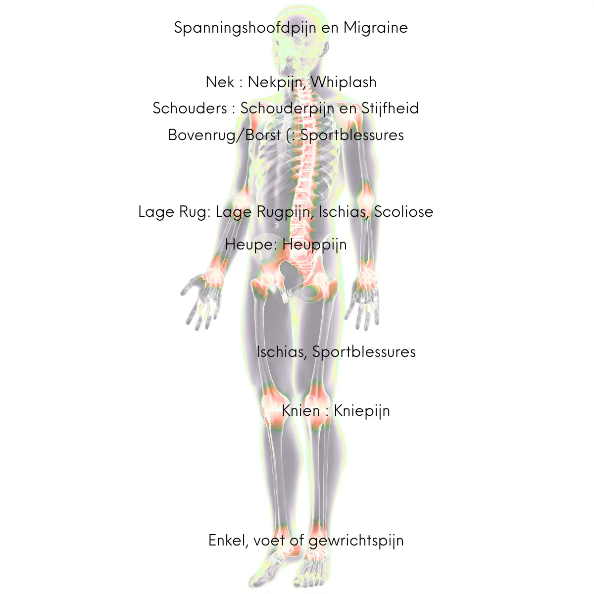 Menselijk lichaam in anatomische positie met aanduidingen van veelvoorkomende pijnpunten zoals hoofdpijn, nekpijn, schouderpijn en rugpijn voor chiropractische behandeling